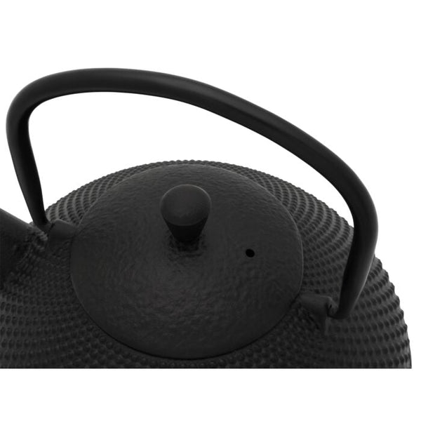 Xinjiang Cast Iron Teapot 1.0 L