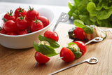 Party Skewers 6 pcs - GALA 15436