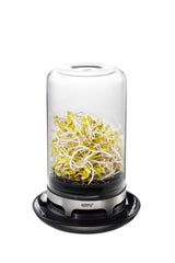 Sprouting Jar - BIVITA