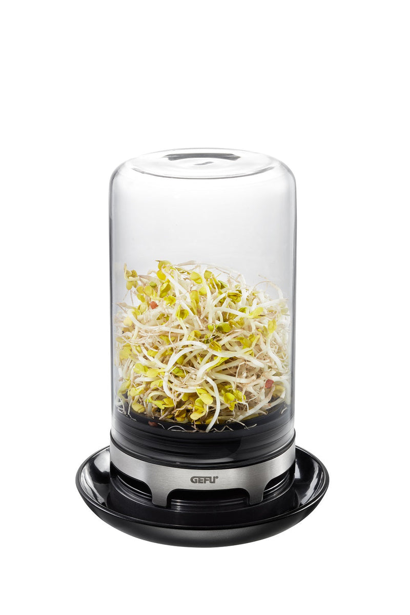 Sprouting Jar - BIVITA