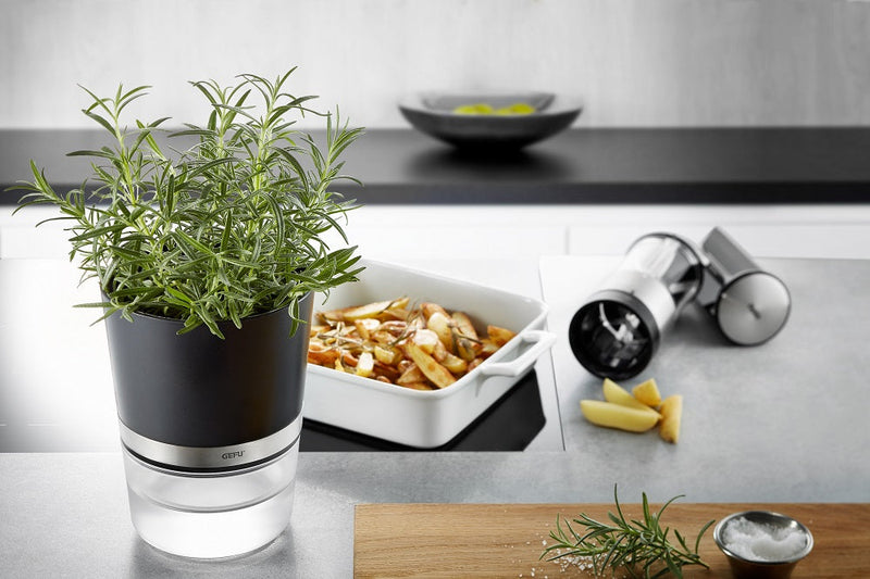 Herb Pot - BOTANICO  18920