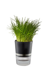 Herb Pot - BOTANICO  18920