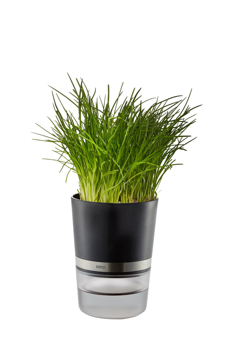 Herb Pot - BOTANICO  18920