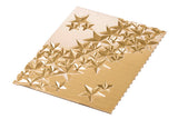 STARLIGHT BUCHE