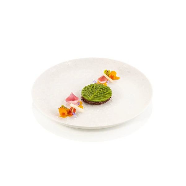 Savoy cabbage 12