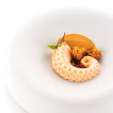 Octopus 20