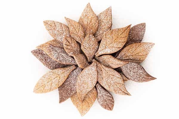 VOIL COOKIE â€?LEAVES